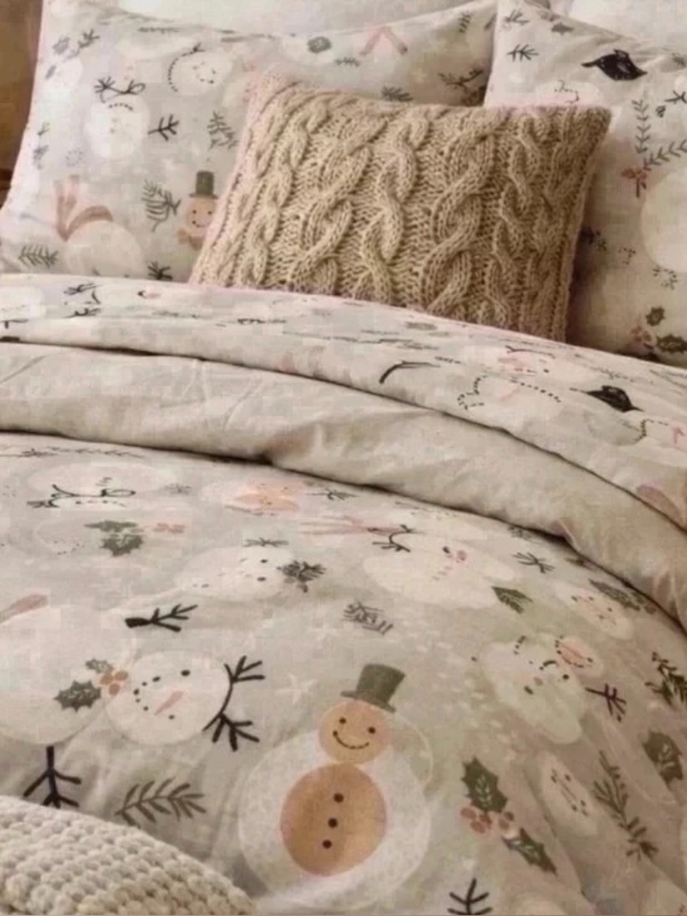 NWOT Pottery Barn Organic Winter Sheets